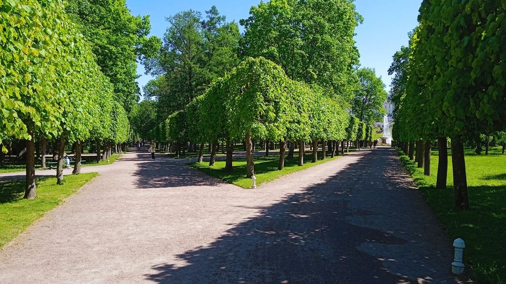 Photograph by Жанна Цветкова