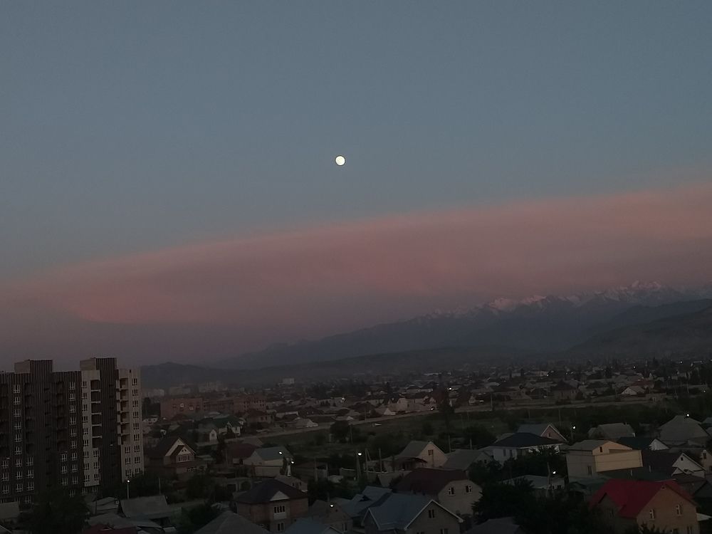 Photo #9249464