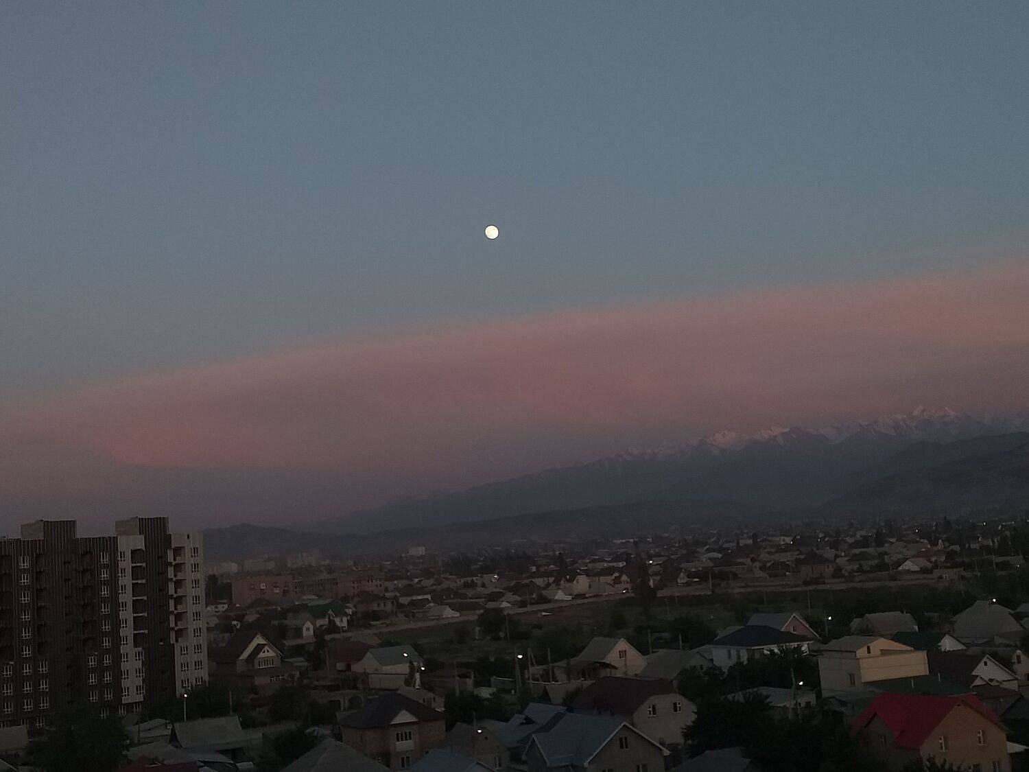 Photo #9249464