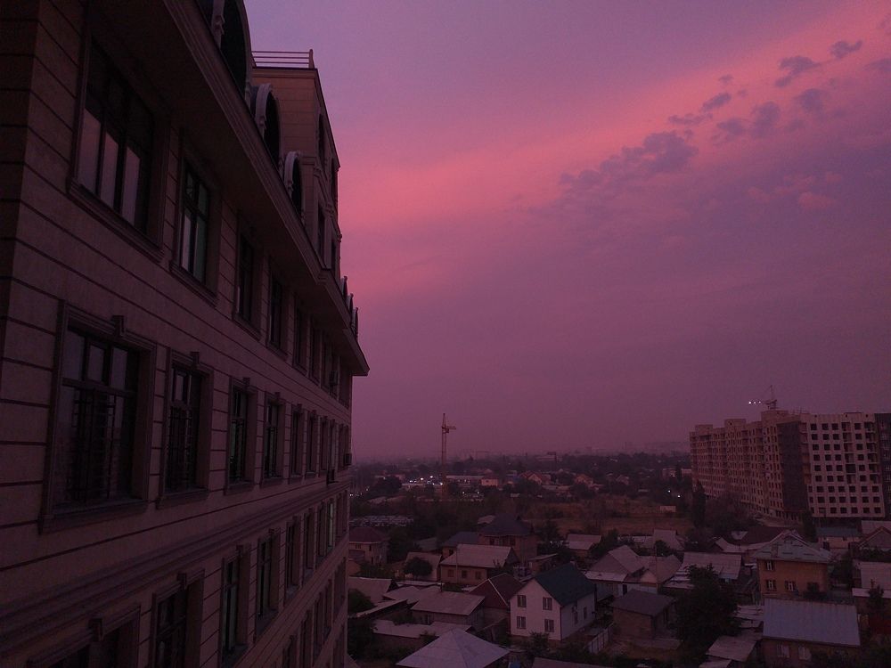 Photo #9249467