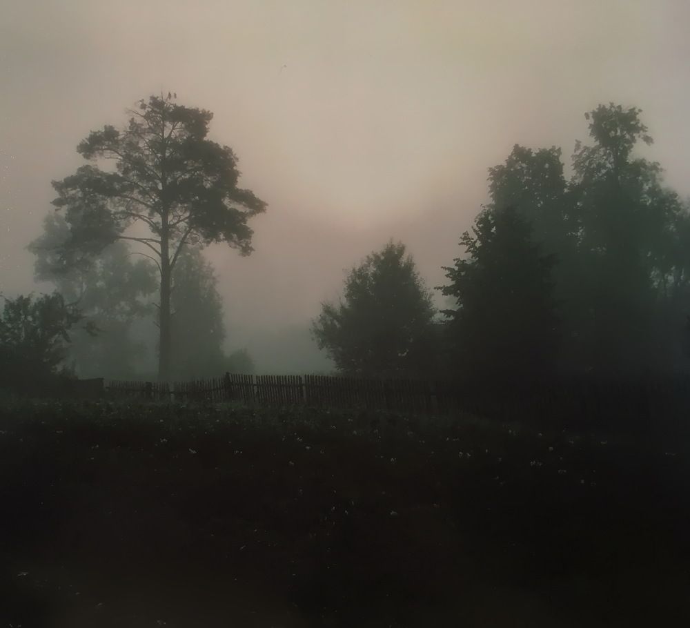 Photograph by Анатолий Протасов