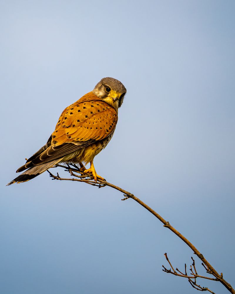 Photograph by oscontainer