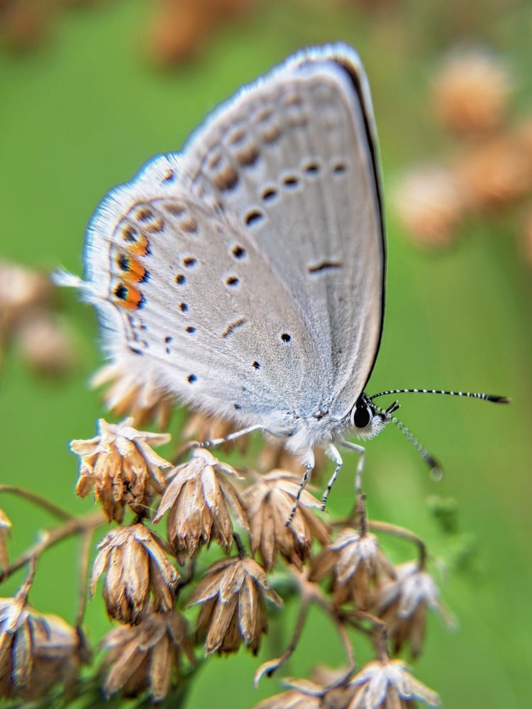 Photograph by Любовь Войтишина