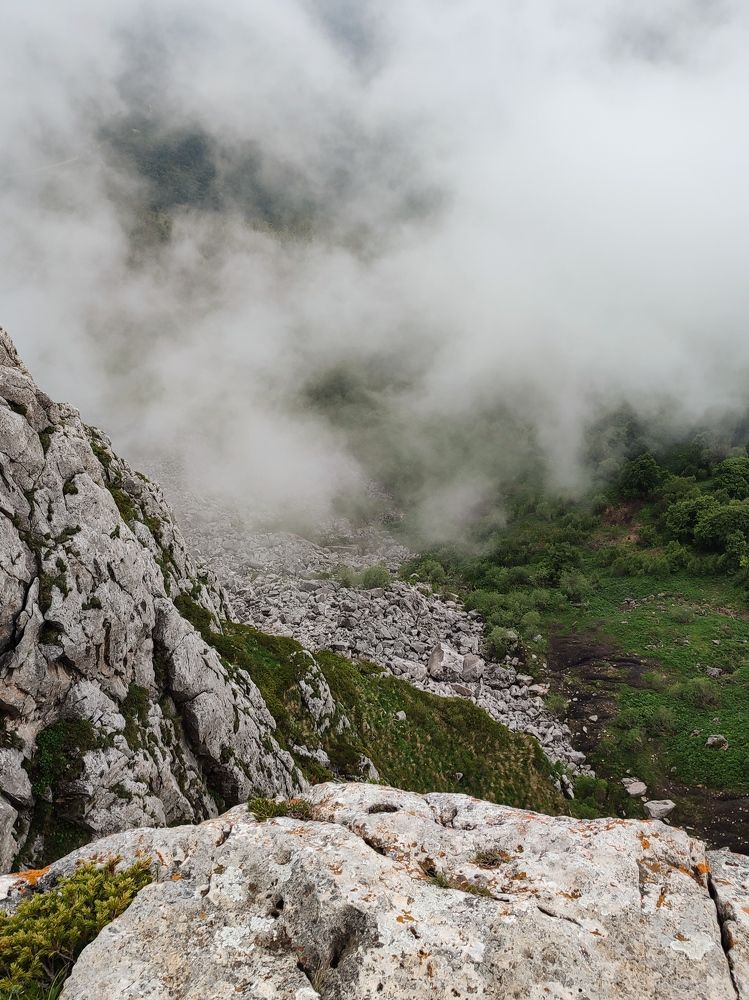 Фотография автора Таня Долгушева
