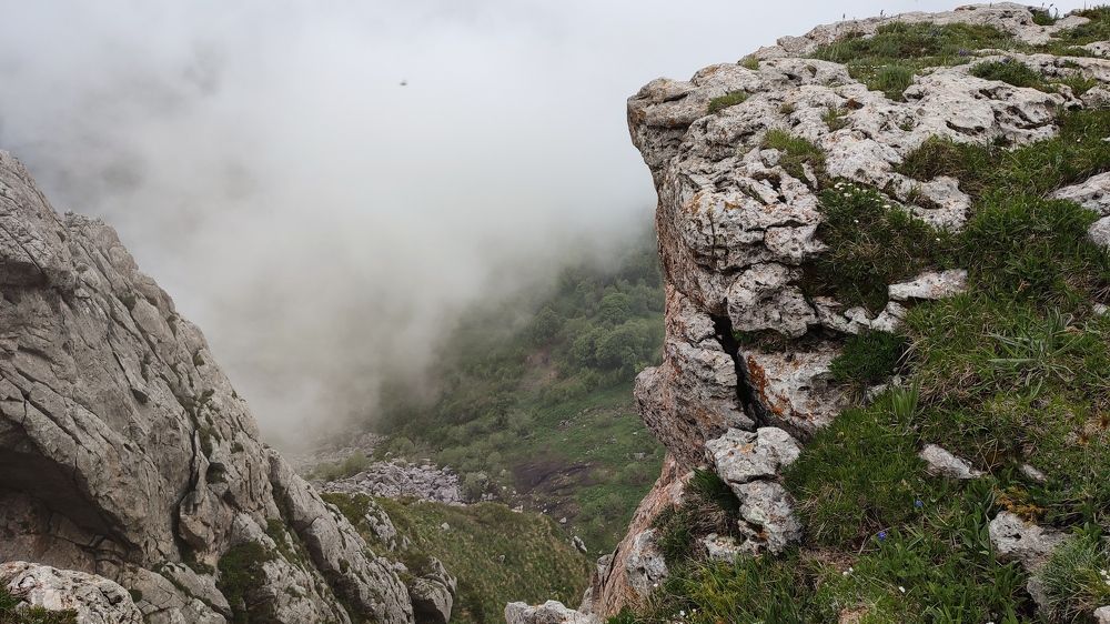 Фотография автора Таня Долгушева