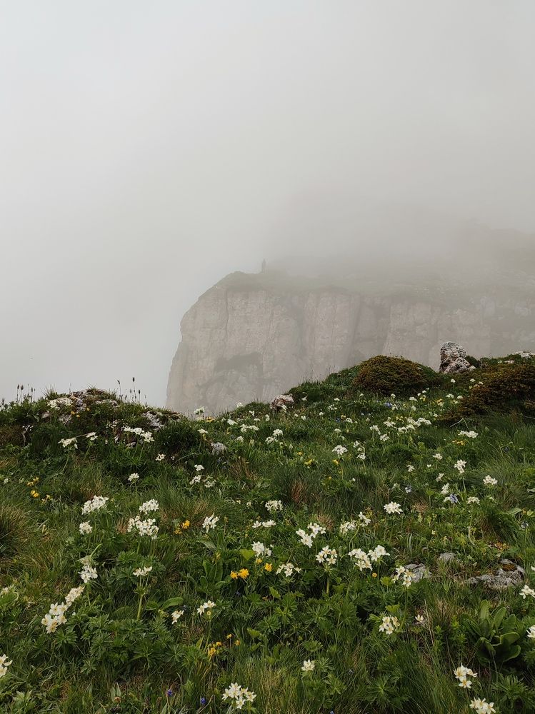 Фотография автора Таня Долгушева
