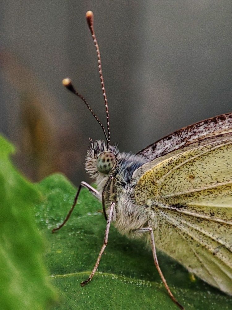 Фотография автора Таня Долгушева
