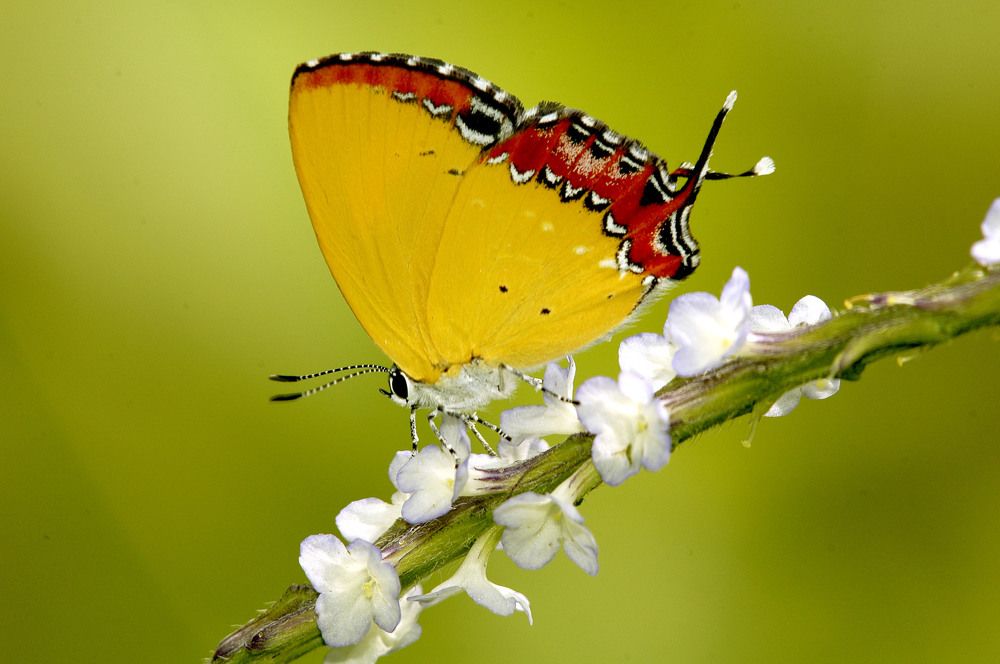 Photograph by Yuwaraj Gurjar