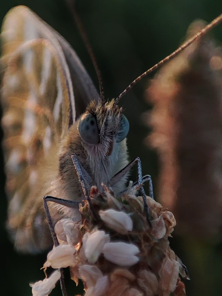 Фотография автора Таня Долгушева