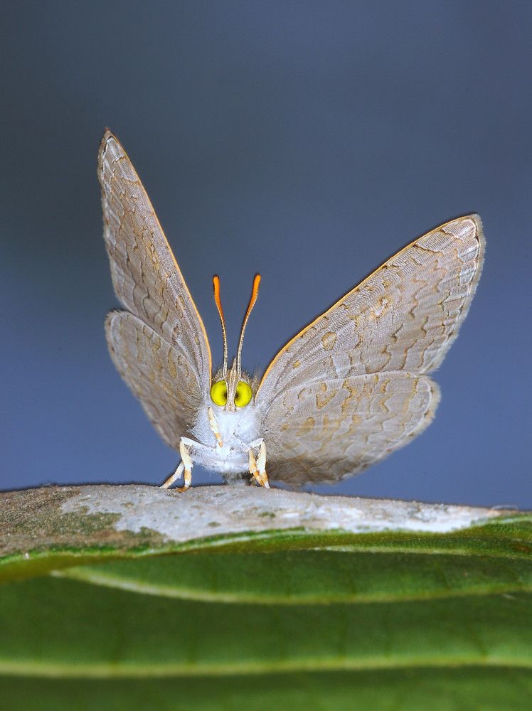 Photograph by Yuwaraj Gurjar