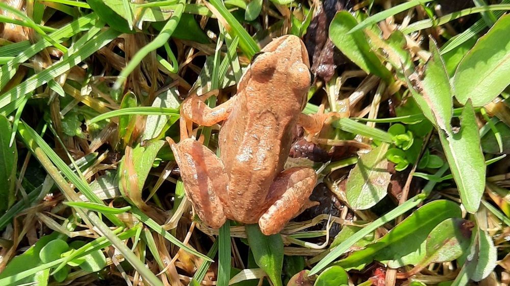 Photograph by Михаил Трусов