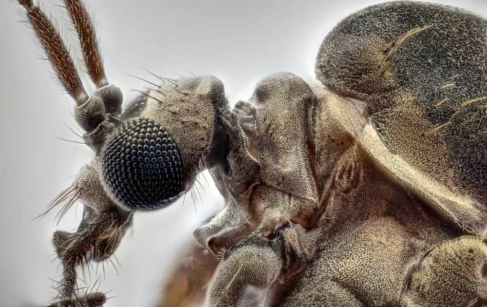 Photograph by Александр Трипольский