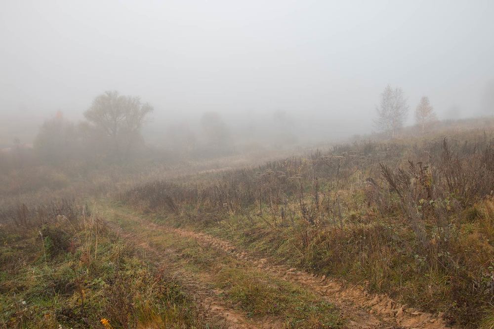 Photograph by Александр