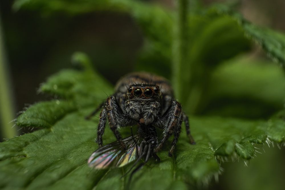 Фотография автора Eimar Kull