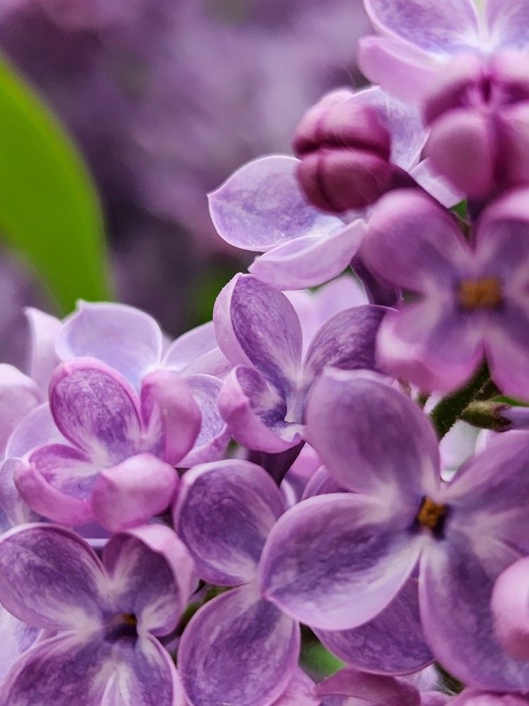 Photograph by Надежда Кудрявцева