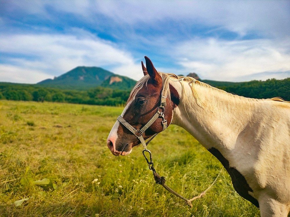 Photograph by Вадим Карпов