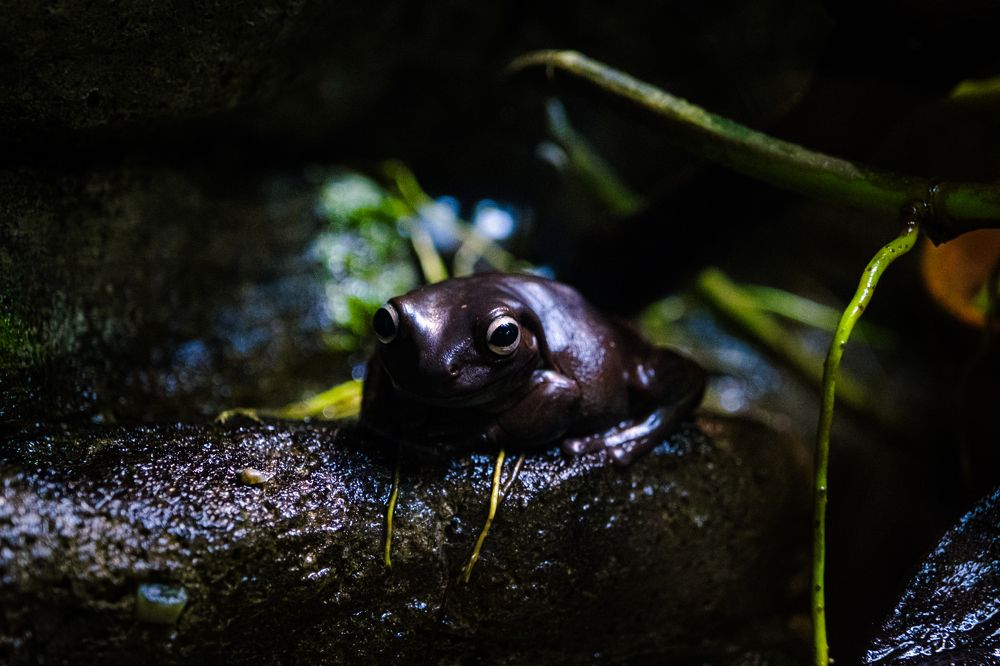 Фотография автора Anuj Medhavi