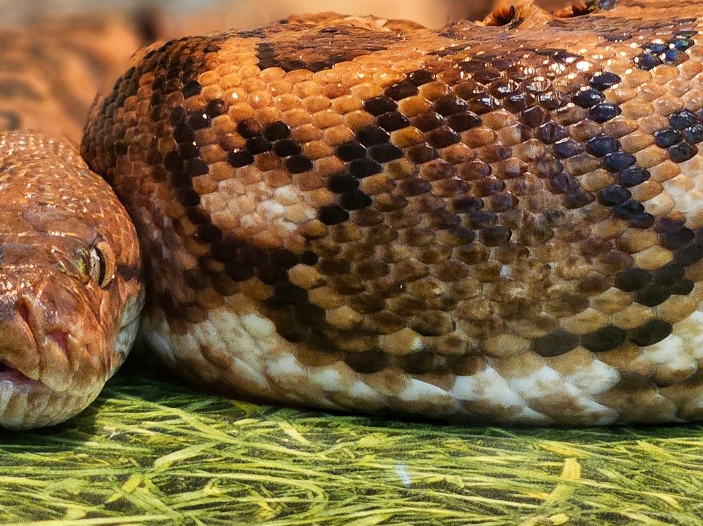 Photograph by Ирина Лучинская