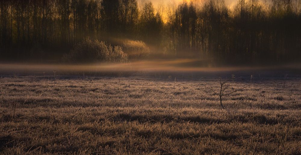 Photograph by Елена Рубинская