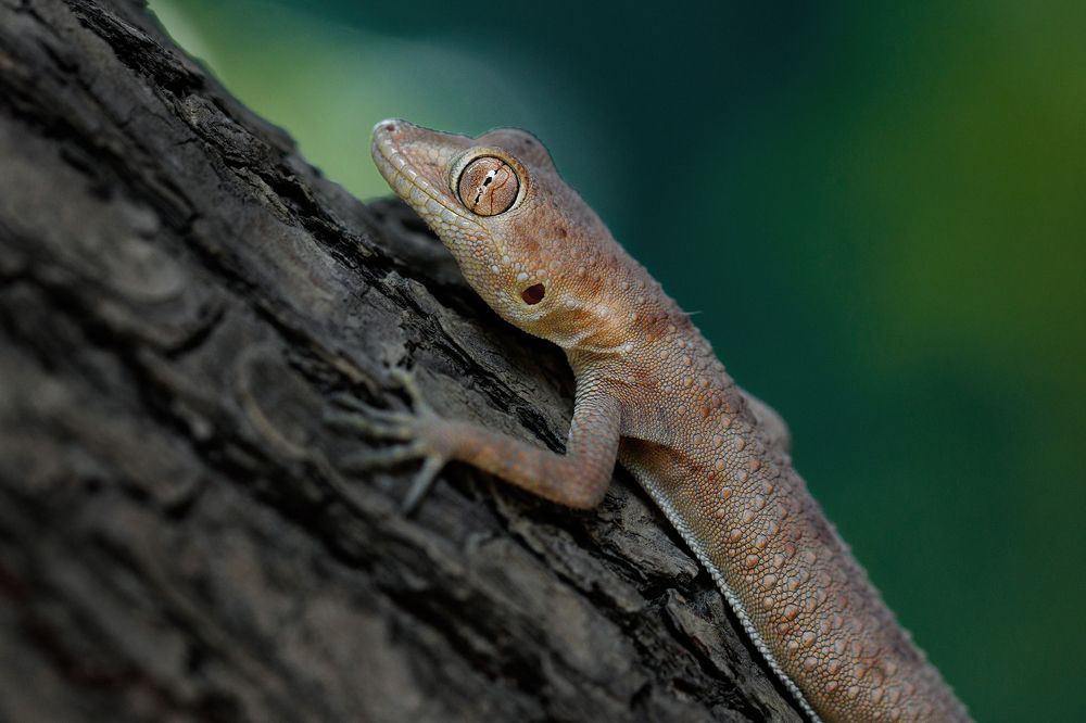 Photograph by Михаил Шпирко