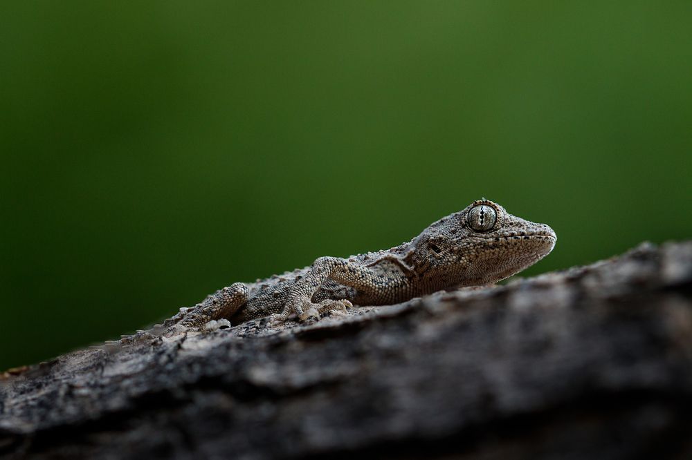 Photograph by Михаил Шпирко