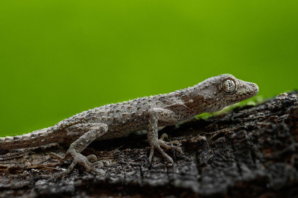 Photograph by Михаил Шпирко