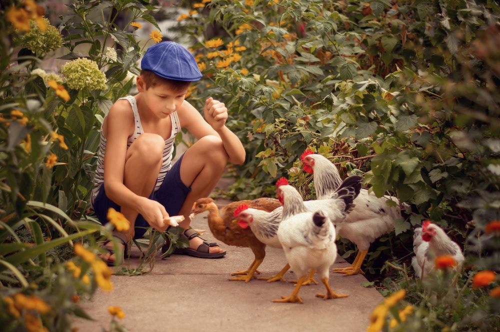 Photograph by Карпова Валентина