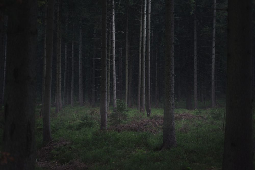 Photograph by Евгений Старков