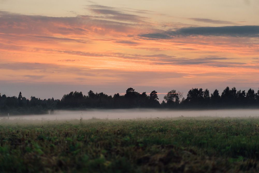 Photograph by Евгений Старков