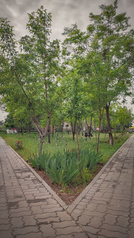 Фотография автора Анастасия Мамаева