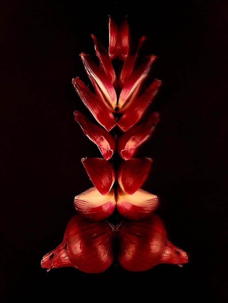 Photograph by Гельфман Галина