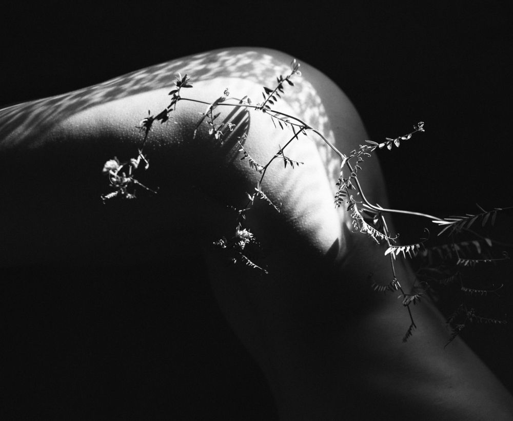 Фотография автора Елена Хазина