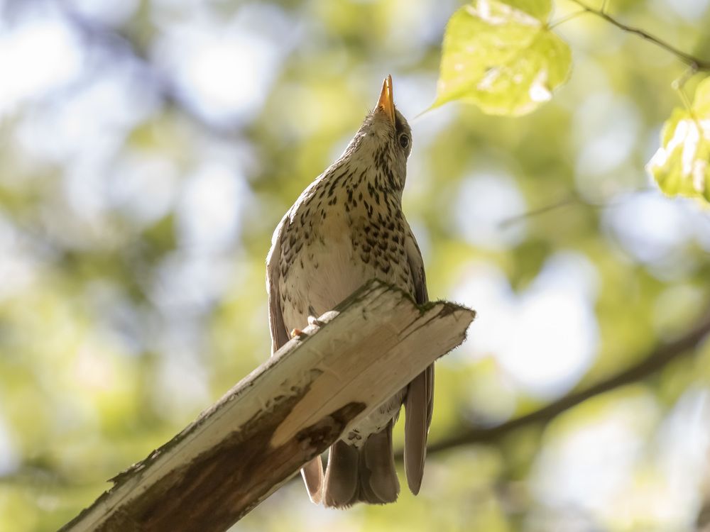 Photograph by Ирина Серегина