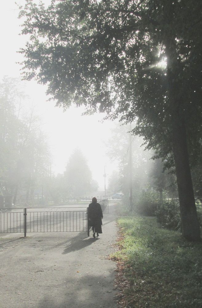 Photograph by Михаил Попов