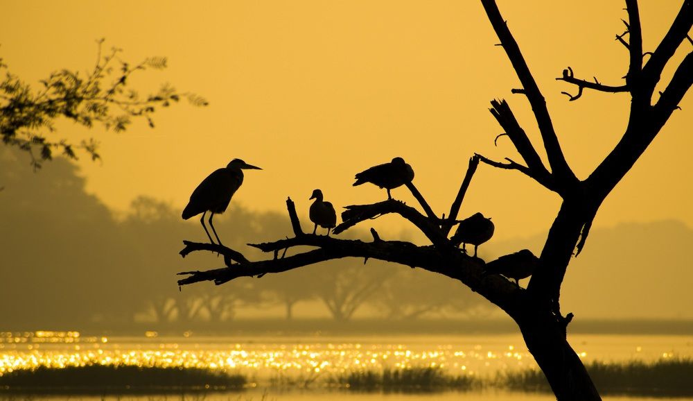 Photograph by Dhaval Solanki