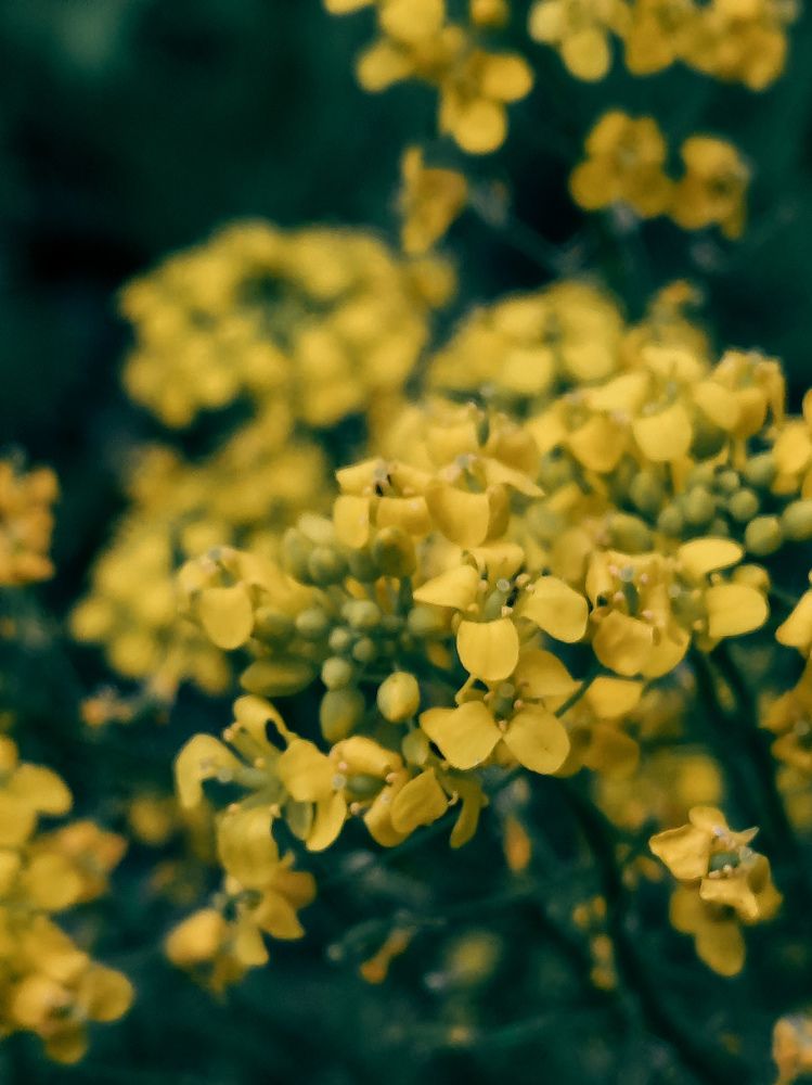 Photograph by Александр Новокрещенов