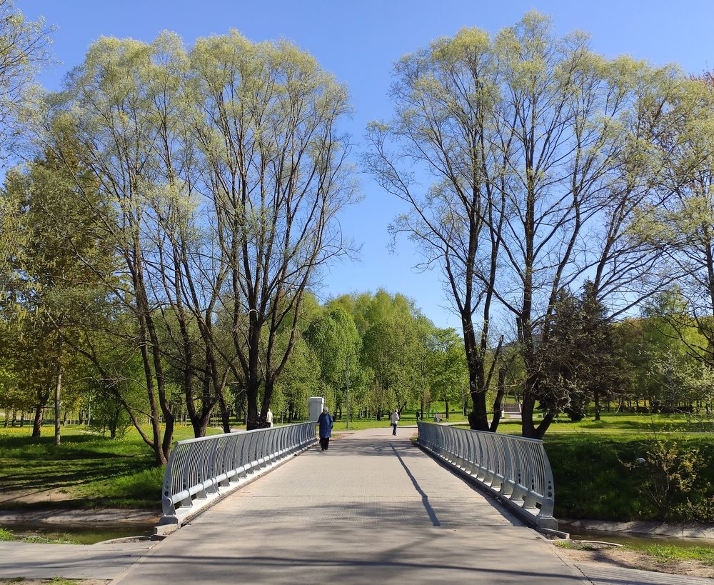 Фотография автора Alena Makushina