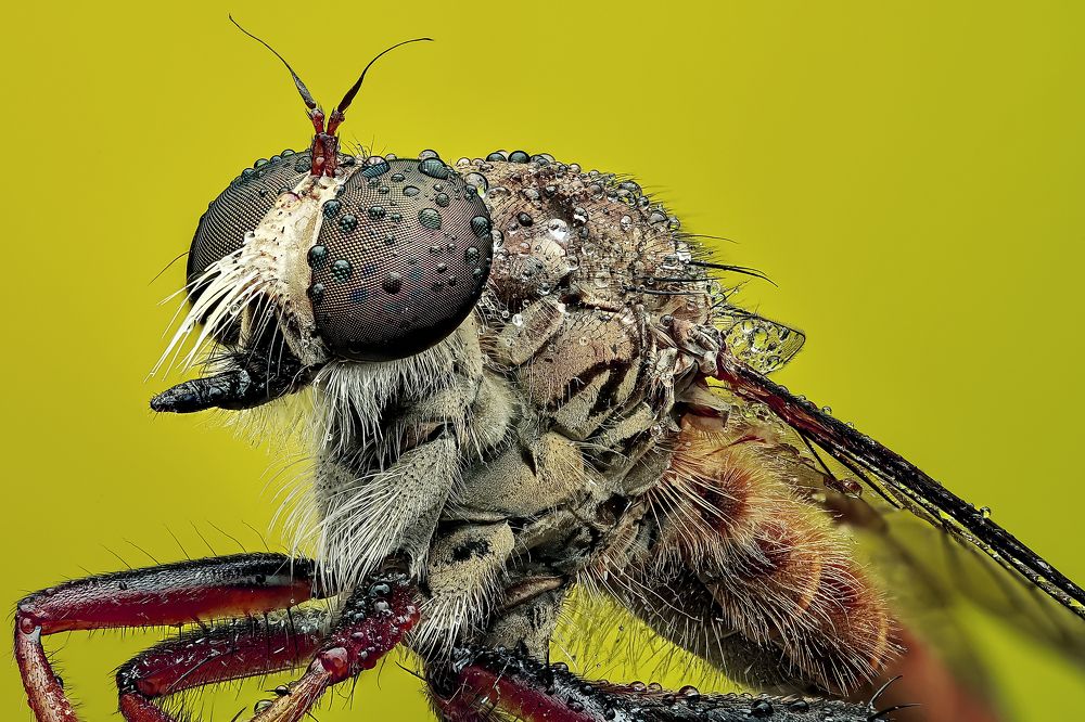 Photograph by Jacob Ng