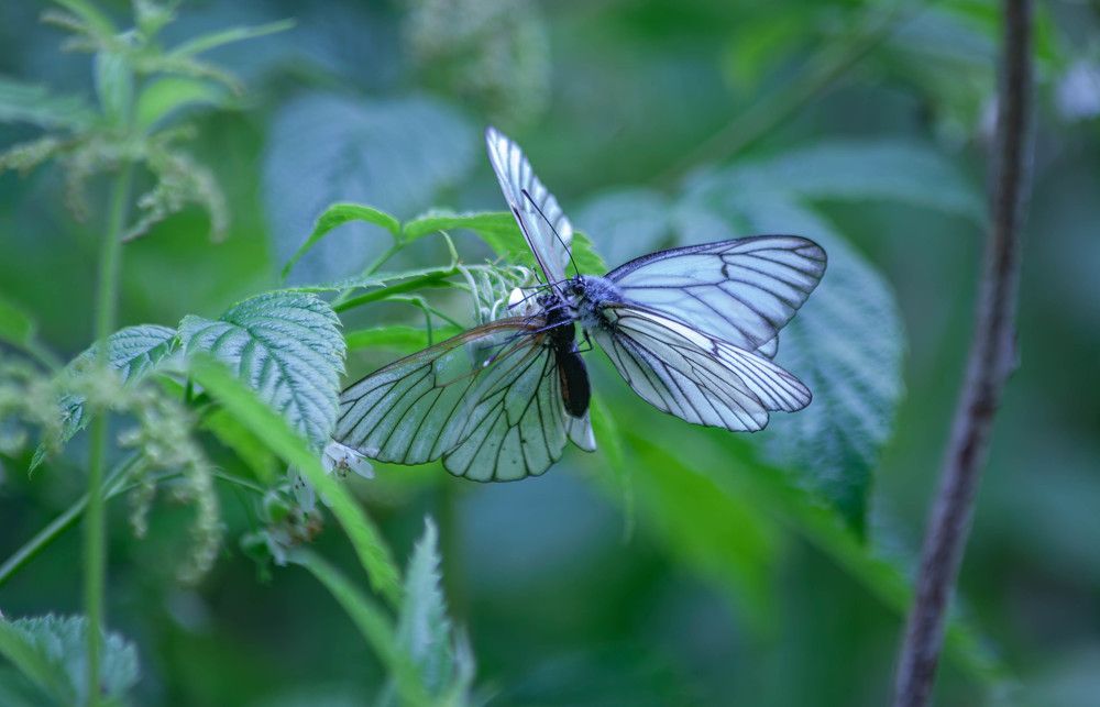 Photograph by Толян Бууулочкин