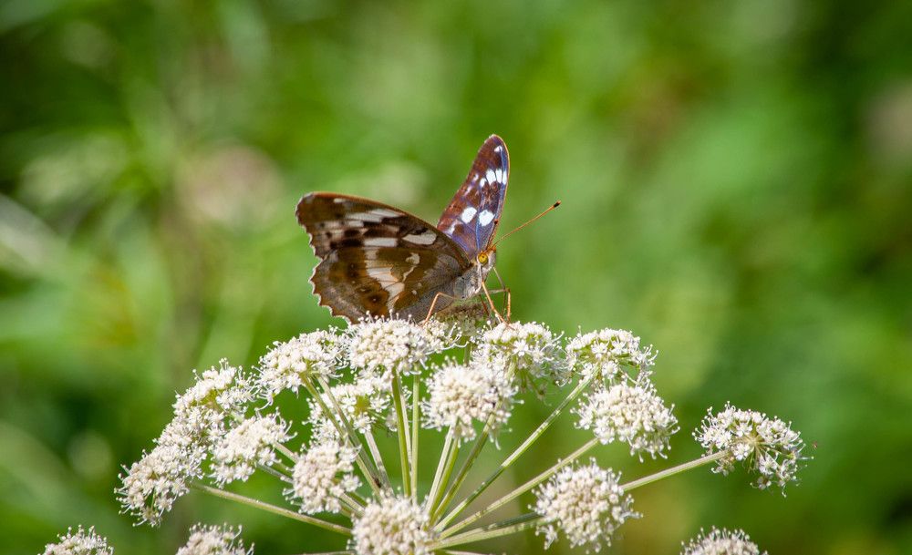 Photograph by Толян Бууулочкин