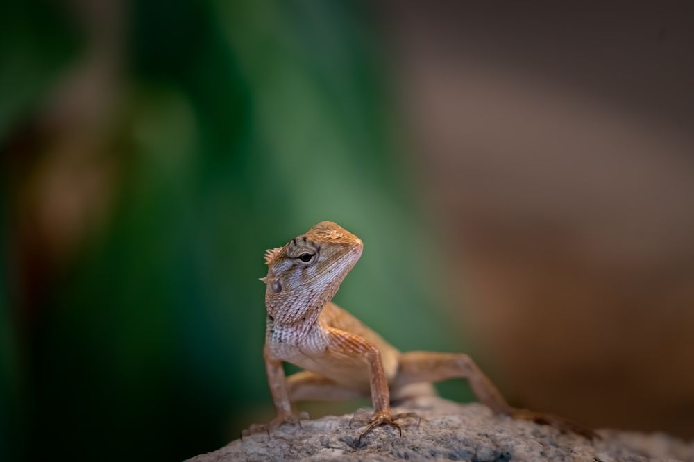 Photograph by Николай Фонарёв