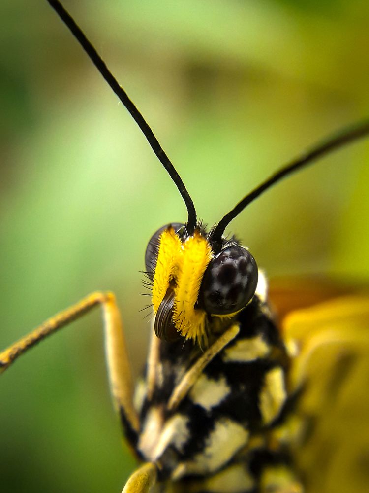 Photograph by Dhaval Solanki