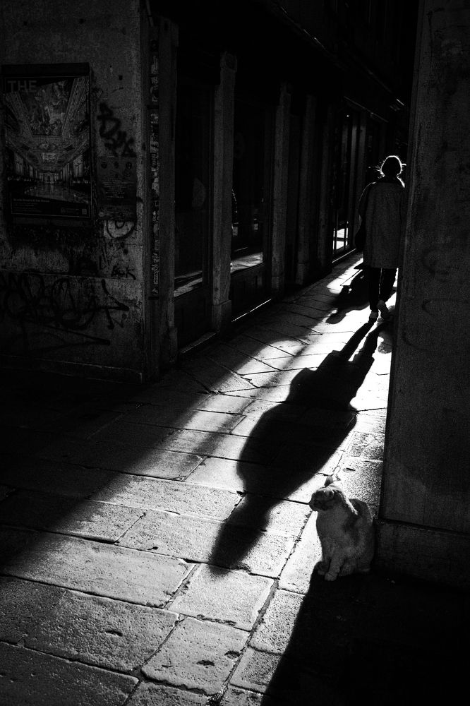 Venetian glimpses