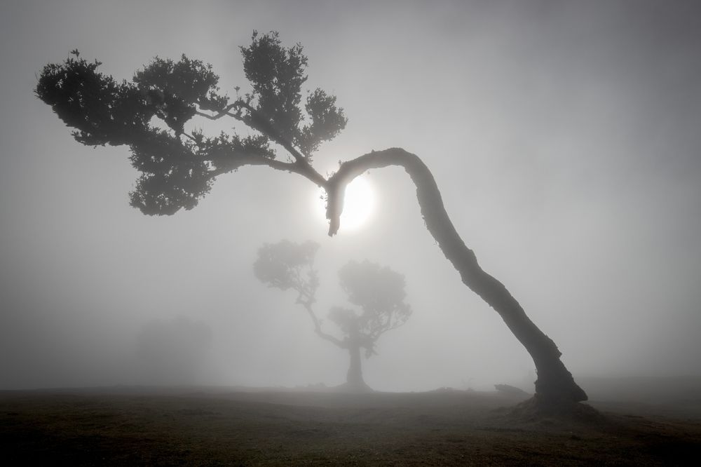 Photograph by Jiří Hakauf