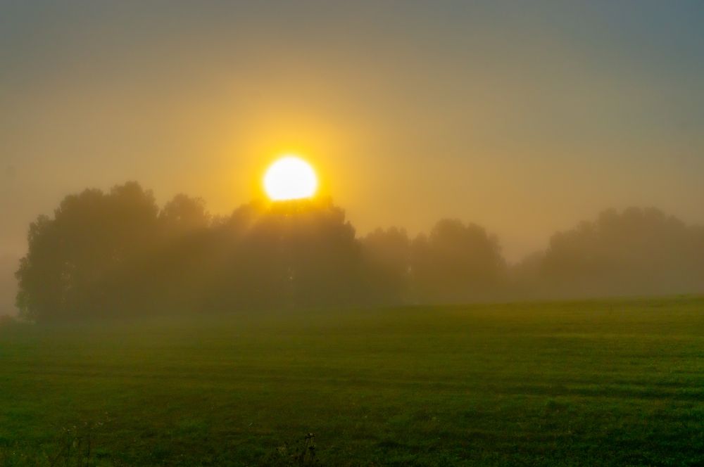 Фотография автора Виталий Гавронский