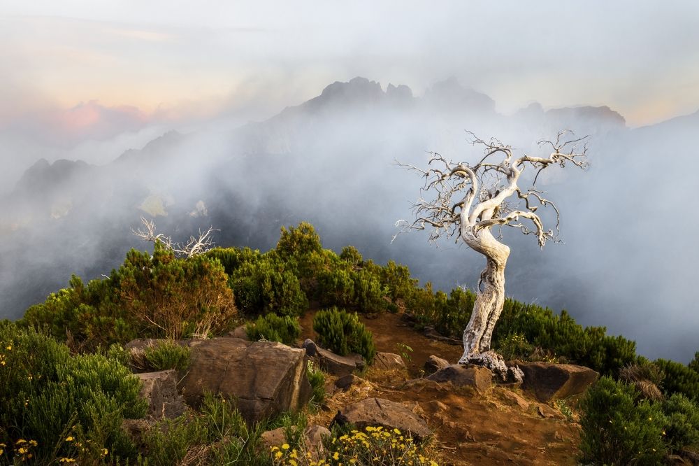 Photograph by Jiří Hakauf