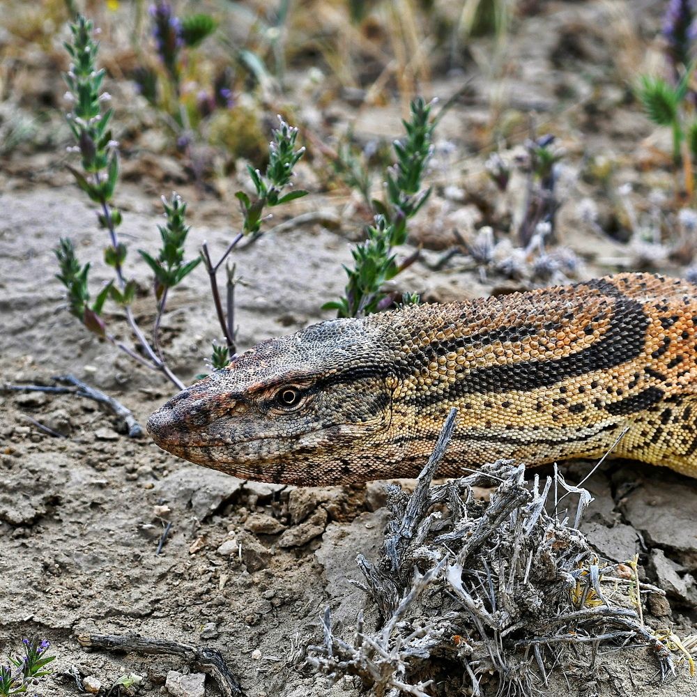 Photograph by Александр Катунцев