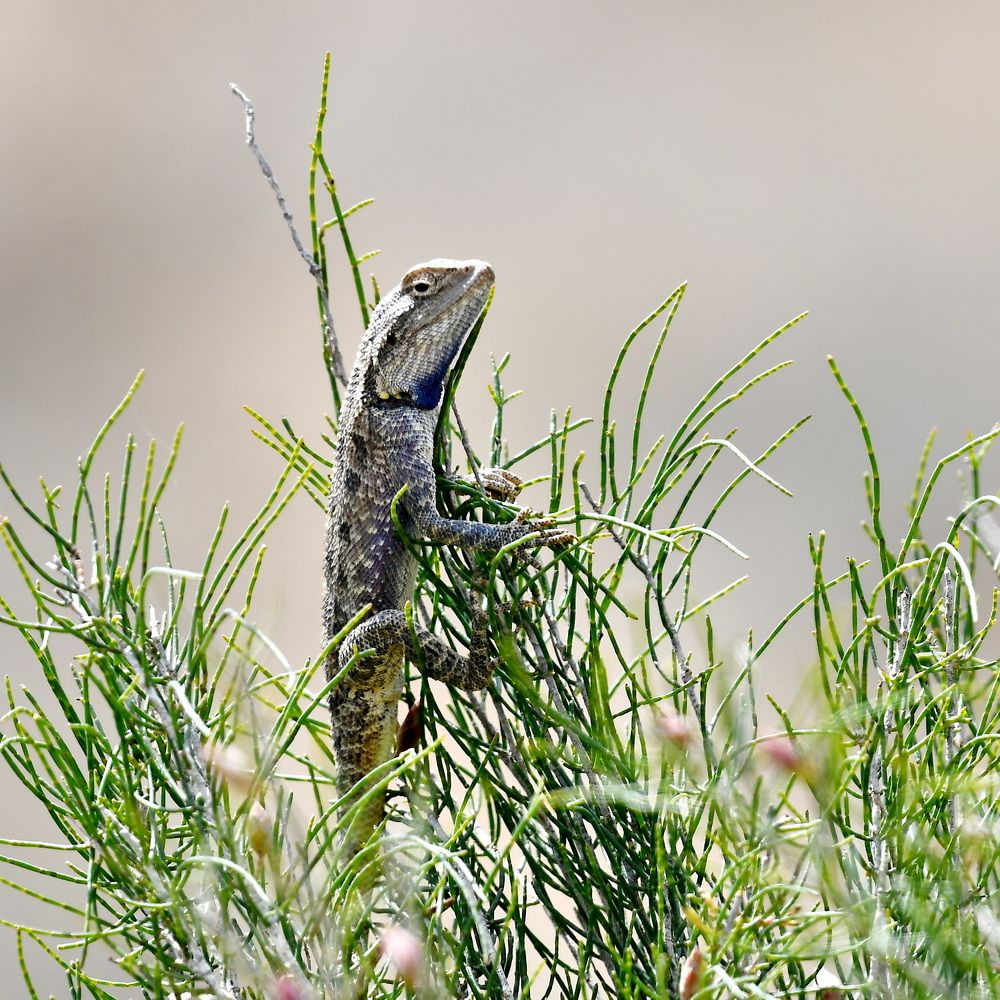 Photograph by Александр Катунцев