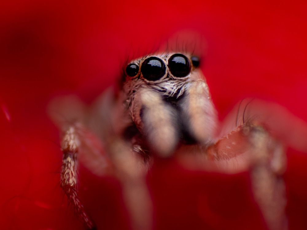 Photograph by Данила Черных