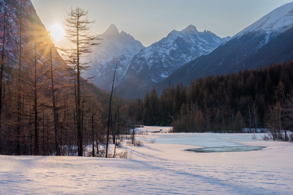 Фотография автора Oleg Matronitskiy